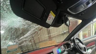 强风吹袭倒下 . 汶广中文主播车 遭树砸