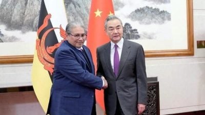 王毅：遵循两国元首重要共识．推动中汶命运共同体建设