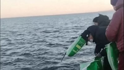 “放生”大米 矿泉水？中国佛教协会：折损福报 勿误导公众