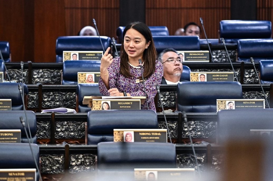 “青年年龄下调不减援助” 杨巧双：30岁以上仍属“年轻人”　