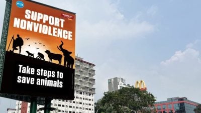 “非暴力始于餐桌”    PETA吁吃素尊重生命