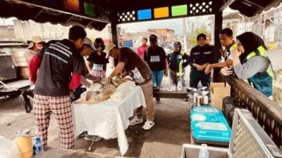 “ProjekTogetherBoleh”，告别捕杀，以人道方式管理浪浪