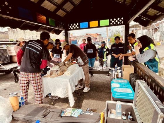 "“ProjekTogetherBoleh”,告别捕杀,以人道方式管理浪浪<br