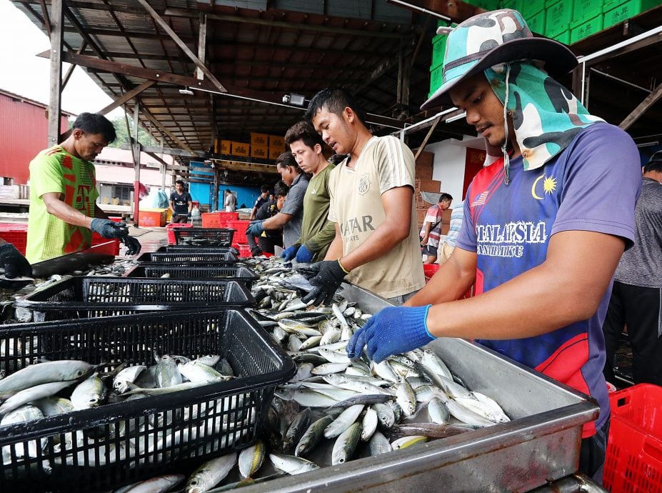 【岛屿永续发展/01】渔业、旅游和社区 岛屿永续的三重考验