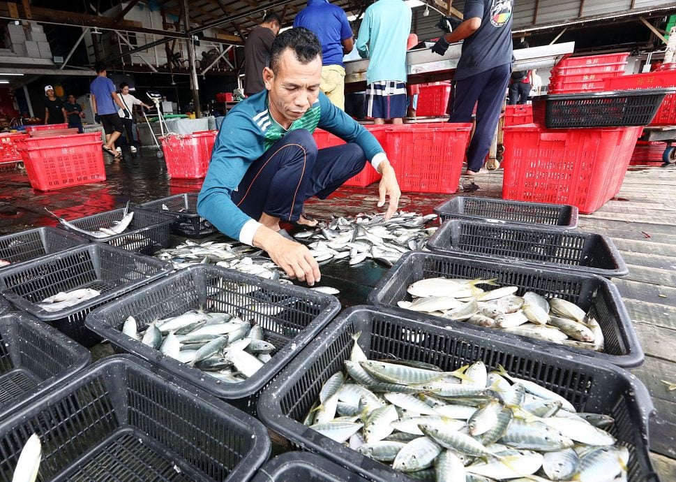 【岛屿永续发展/01】渔业、旅游和社区 岛屿永续的三重考验