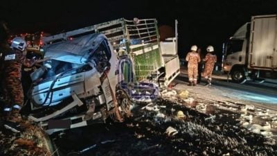 东海岸大道旅巴与2罗里连环撞 未酿人命伤亡