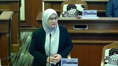 彭州议会 | “彭亨关怀医药卡”料扩大使用范围至药剂行牙科