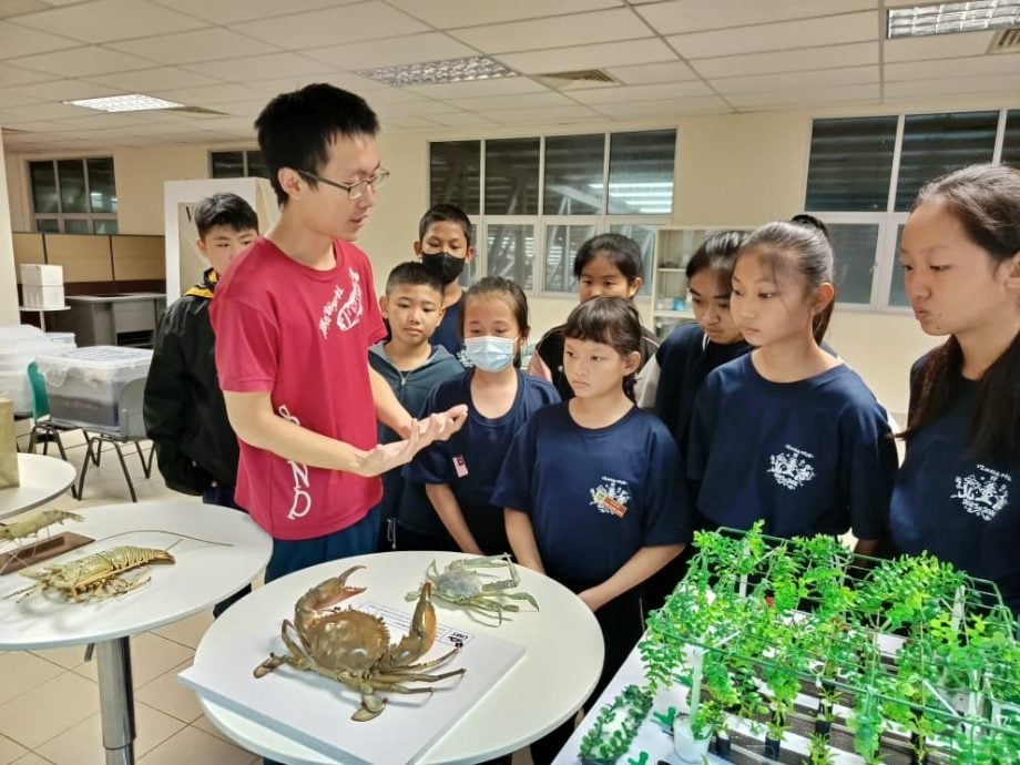 东：哇加打北中华小学35名学生走访登大　