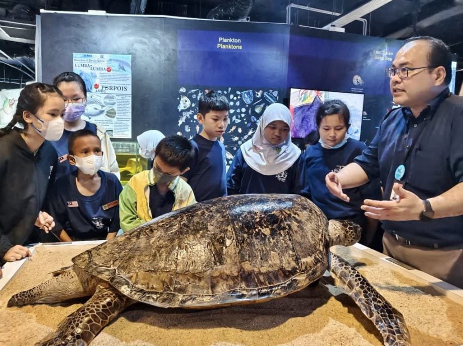 东：哇加打北中华小学35名学生走访登大　