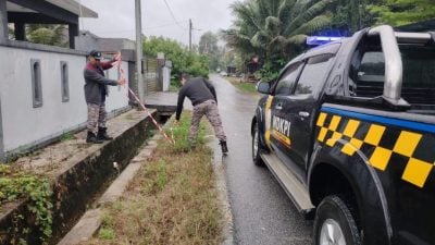 格底里县议会执法组 捕捉游荡牛只 监控处理未经许可建筑