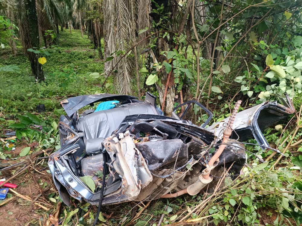 东:已签发:轿车失控撞油棕树,冲击力巨大致车头与车身分离,24岁男子不幸命丧现场。