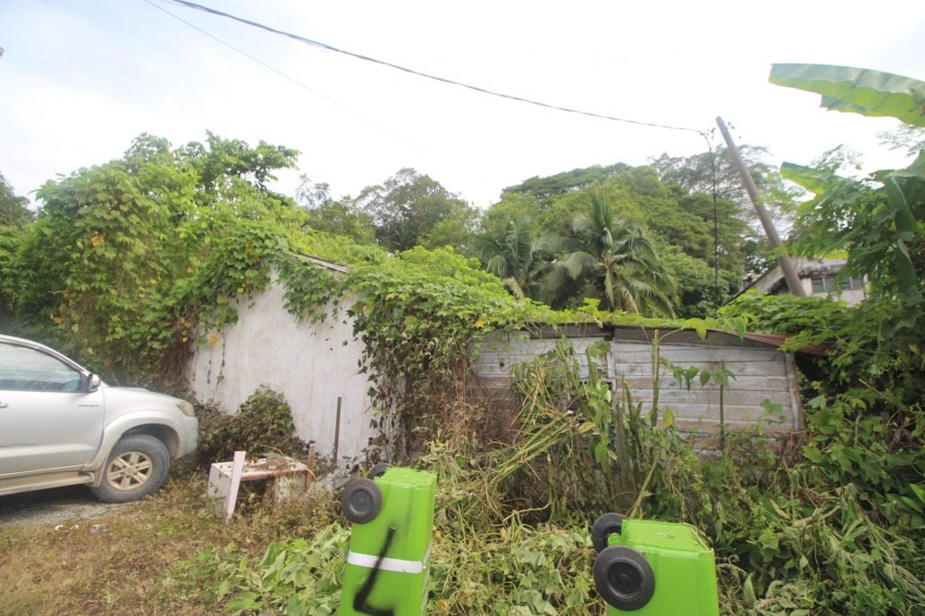 东:(已签发)2马电讯员工宿舍废置20年,野草丛生窝藏蛇虫鼠蚁