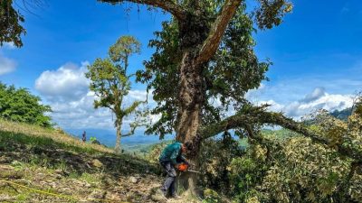 彭亨媒体：劳勿猫山王案件终结