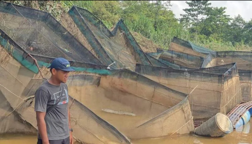 东:(已签发)雨水导致彭亨河水位涨冲走鱼笼 养殖业者蒙受近40万损失