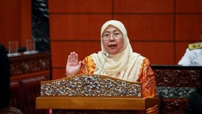 傅芝雅 莎拉丝瓦蒂 2副部长续任上议员