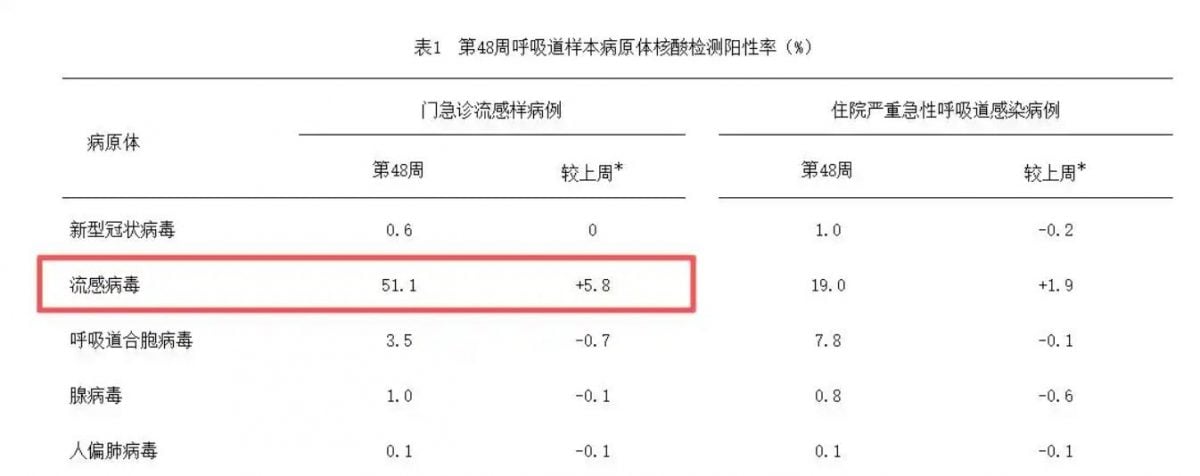 中国流感病毒“阳性率达51.1%”　看病挂到1200多号