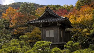 中资大肆鲸吞日本佛寺 “一条龙”控制死亡产业链！暗黑目的曝光
