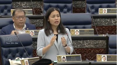 张念群：多方监督社媒   4年删5万假内容