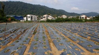 彭州议会 | 何子扬吁制定农业战略规划 鼓励青年投入农业领域