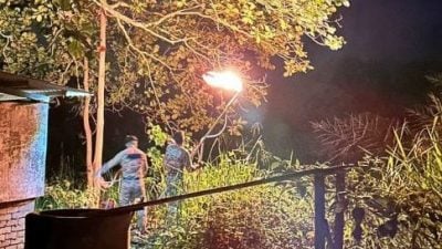 森合河边树上的毒蜂巢终被消拯人员烧毁