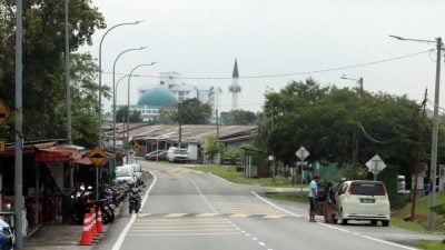 花园路拱“密集成串”引话题 市议员：居民要求才会增设