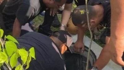 9岁男童坠学校排污池死亡案 | 事故引爆议会怒火 议员轰“轻质盖板埋下祸患”