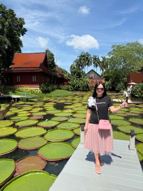 供星洲网:花城内外:(兰花草)普吉岛、萨瓦迪卡