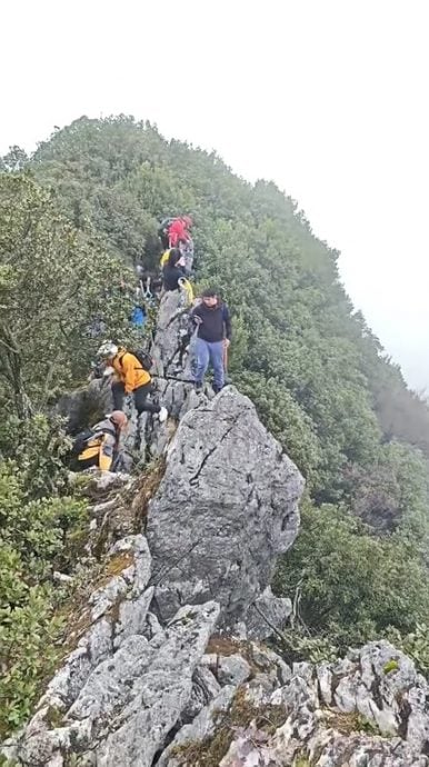 供星洲网:视频|疑登山用手机坠40公尺悬崖 男子生还报平安:福大命大!