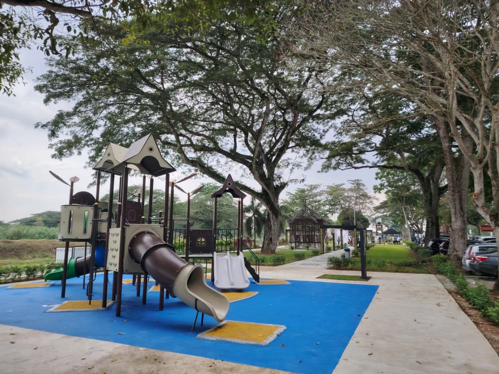 倪可敏:全国建成216昌明公园 朝千座目标共建绿色家园