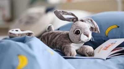 停产兔子玩偶急寻！ 网民争相出手救援自闭症女孩