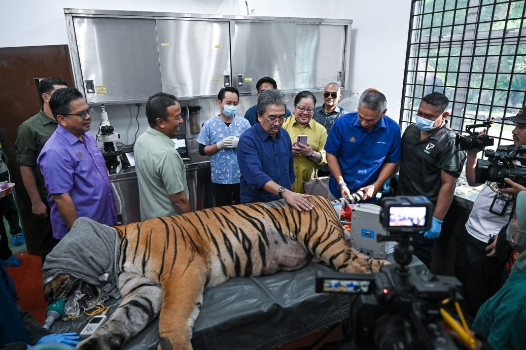  全国版／减少野生动物与人类冲突 佐哈里：不开辟森林新种植区