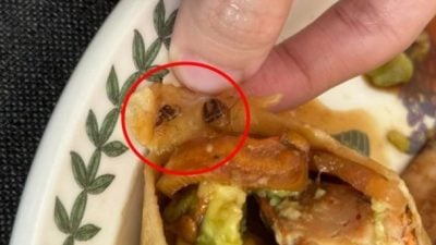 买卷饼“送”2蟑螂  女子当场崩溃反胃