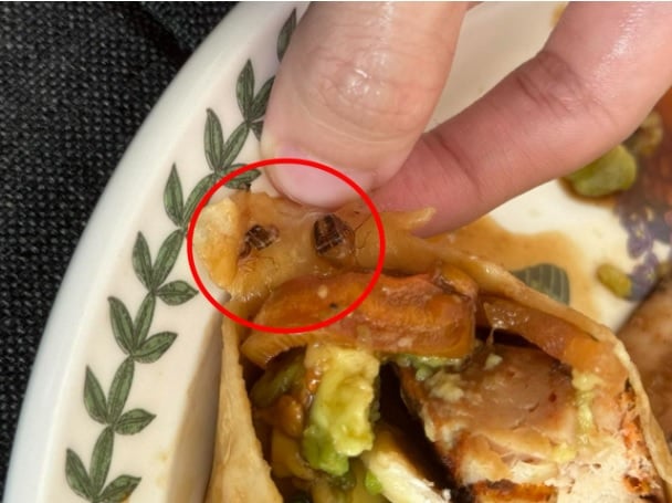 **全国综合(只供网)**买卷饼“送”2蟑螂 女子当场崩溃反胃