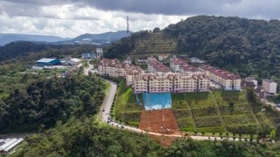 金马仑升温4度  无序开发增灾害风险