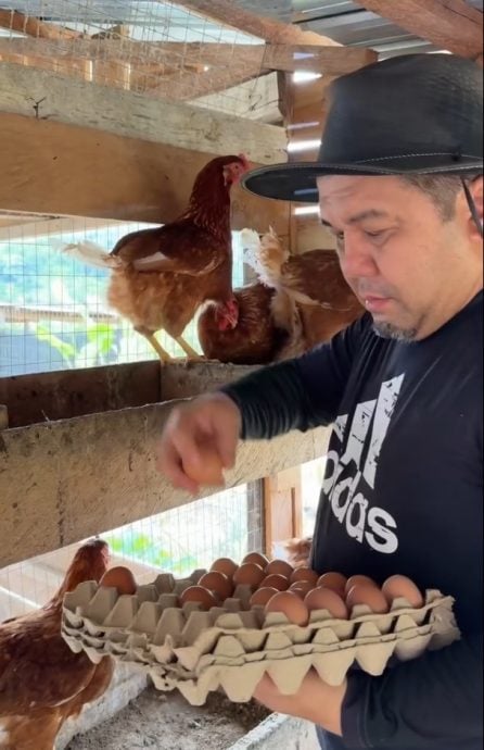 出任农渔业食品部长  加马威：这是我热爱的部门