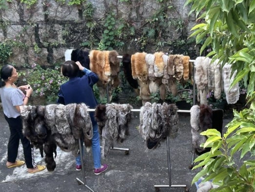 **即时娱乐**宣萱表舅蔡和平晒皮草惹议 部分仍见完整动物头爪