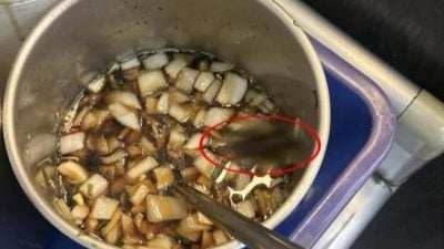 台南知名牛肉汤遭爆活蟑螂入酱汁　卫生局紧急稽查