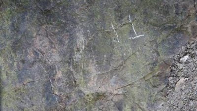 四川都江堰首次发现恐龙足迹化石