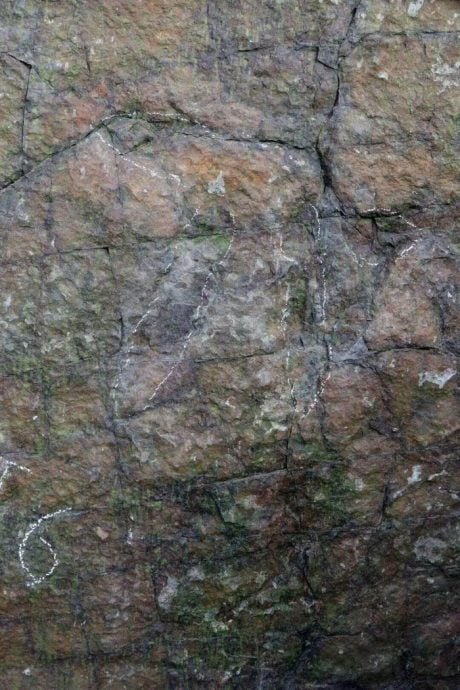 四川都江堰首次发现恐龙足迹化石