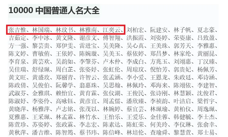 大小名单都有他们!中国5人名爆红 被讥“全网最忙”