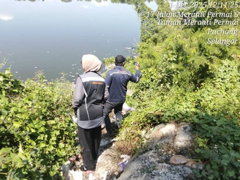 大都会-（主文）蒲种一湖鱼群亡 当局：气候变化或主因