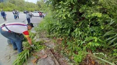 垃圾树叶满布 泥泞塞沟  加影诊所停车场大扫除