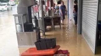 视频 | 呀吃14英里店屋淹水  盼政府关注 展开治水 