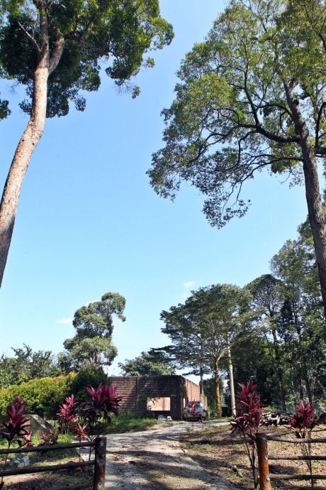 大都会/封面/安邦瞭望台明年新年前重开 易名Puncak ALOP/12图