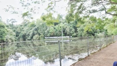 拍摄录影收100至500令吉   森林公园收费高引热议