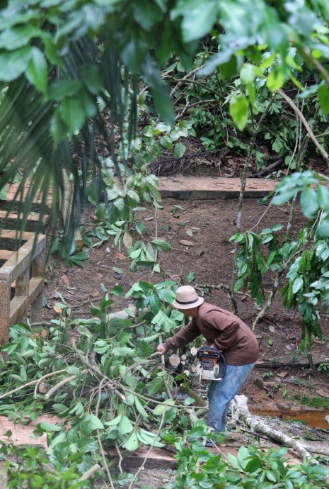 大都会/封面/森林公园向专业拍摄访客征最高500令吉/6图