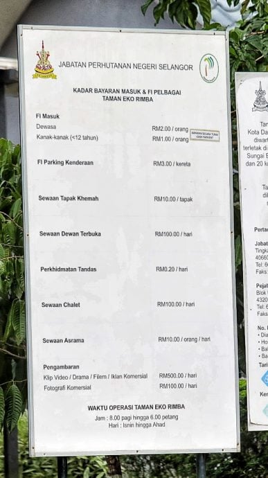 大都会/封面/森林公园向专业拍摄访客征最高500令吉/6图