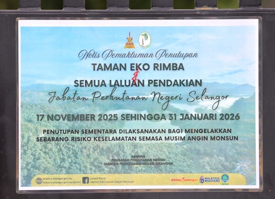 大都会/封面/森林公园向专业拍摄访客征最高500令吉/6图