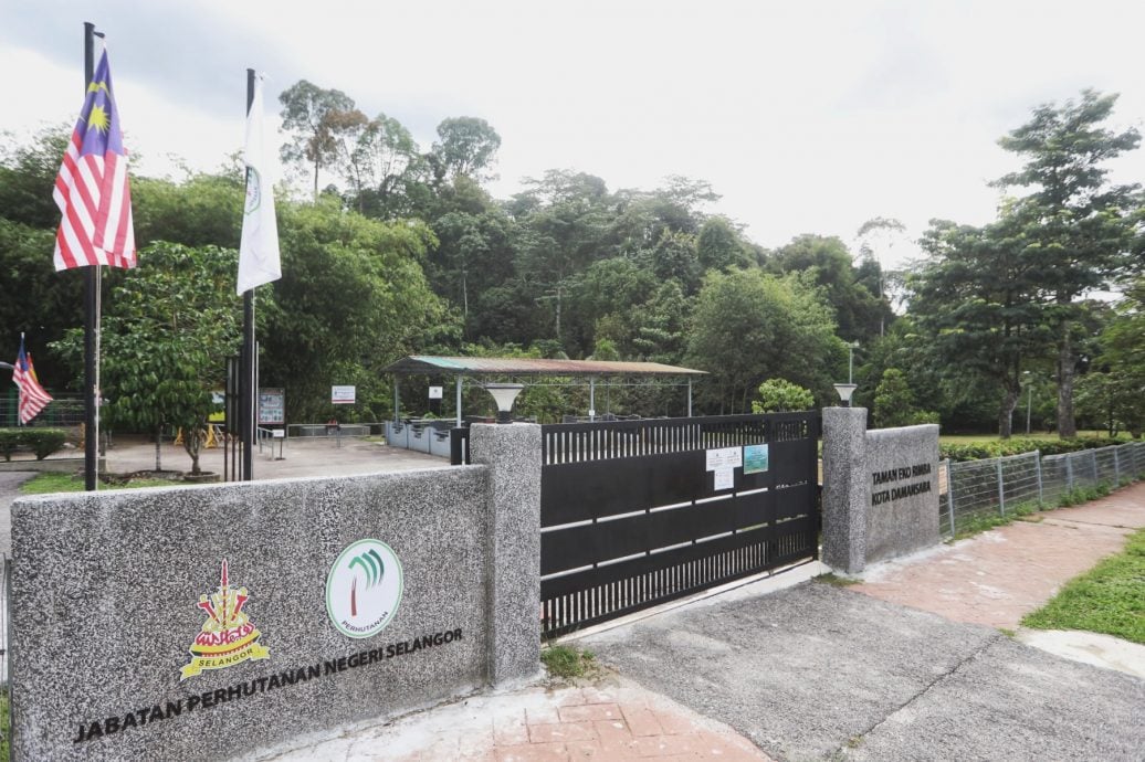 大都会/封面/森林公园向专业拍摄访客征最高500令吉/6图