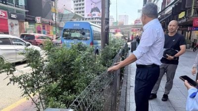 市局修复武吉免登3围栏     种植“彩虹树”美化环境